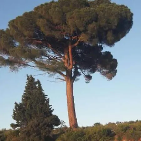 Apartman Magdic - Two Bedroom With Terrace Brzac